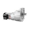 LV Vertical High Ratio Gear Motor